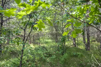 Lot 5 17th Street, Necedah, WI 54646 - Photo 16