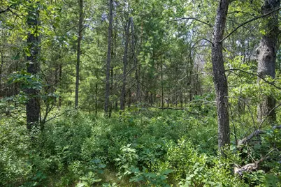 Lot 5 17th Street, Necedah, WI 54646 - Photo 30