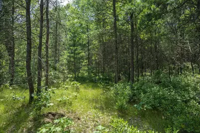 Lot 5 17th Street, Necedah, WI 54646 - Photo 1