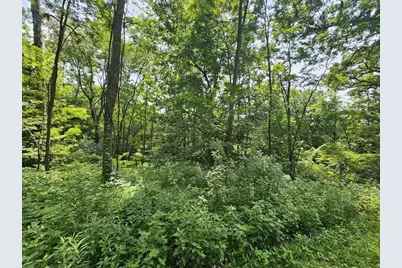 65864 Chandler Road, Freeman, WI 54624 - Photo 10