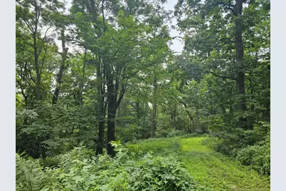 65864 Chandler Road, Freeman, WI 54624 - Photo 2
