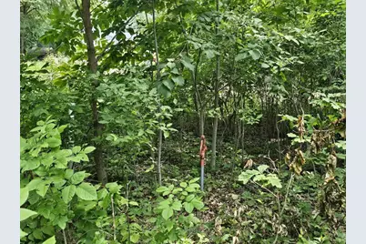 65864 Chandler Road, Freeman, WI 54624 - Photo 6