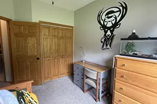 E9265 Pebblebeach Dr, Wisconsin Dells, WI 53965 - Photo 28