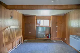 436 Park St, Wonewoc, WI 53968 - Photo 20