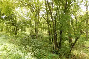 5990 Mill Rd, Avoca, WI 53506 - Photo 14