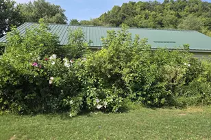 48568 Petersburg Ln, Gays Mills, WI 54631 - Photo 10