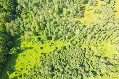 7218 Cty Road Hh, Vesper, WI 54489 - Photo 26