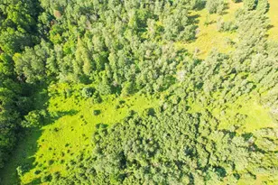 7218 Cty Road Hh, Vesper, WI 54489 - Photo 26