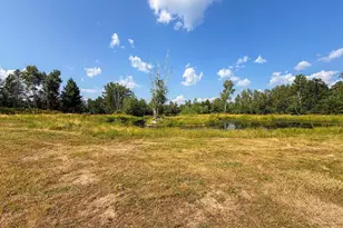 7218 Cty Road Hh, Vesper, WI 54489 - Photo 58