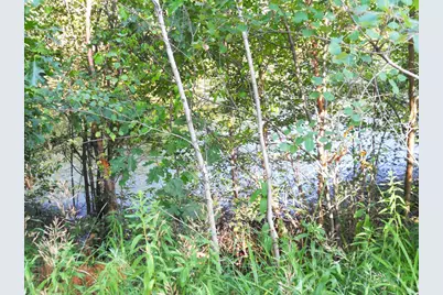 N11196 12th Avenue, Necedah, WI 54646 - Photo 28