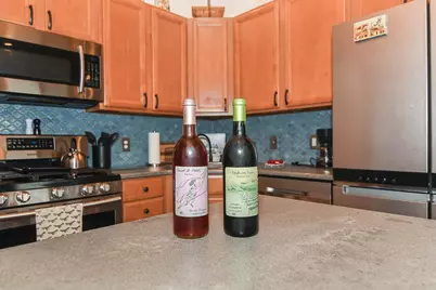 3138 W Mitchell Road, Hanover, IL 61041 - Photo 50