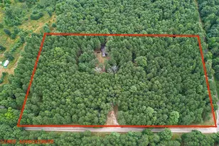 N5510 Deer Island Rd, Warrens,warrens, WI 54666 - Photo 4