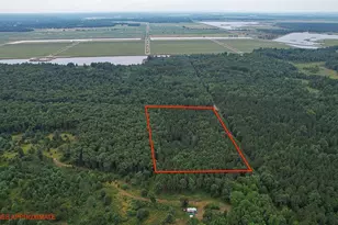 N5510 Deer Island Rd, Warrens,warrens, WI 54666 - Photo 12