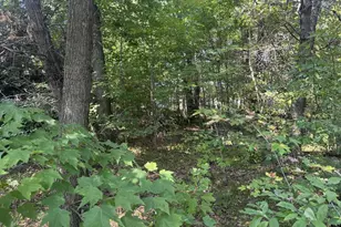 250 White Oak Ln, Lake Delton, WI 53965 - Photo 1