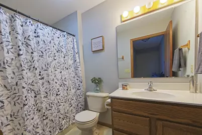 927 Lone Tree Lane, Prairie Du Sac, WI 53578 - Photo 24