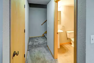 9305 Briar Haven Drive, Madison, WI 53593 - Photo 52