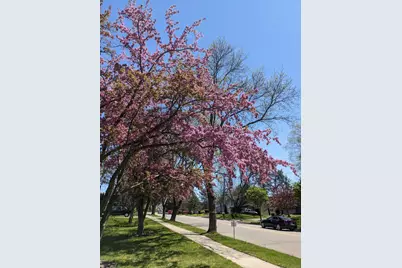 902 Moorland Road, Madison, WI 53713 - Photo 66