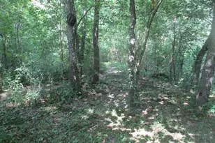 S4129 Ableman Rd, Rock Springs, WI 53961 - Photo 72