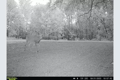 21881 Kale Road, Sparta, WI 54656 - Photo 50