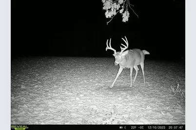 21881 Kale Road, Sparta, WI 54656 - Photo 54