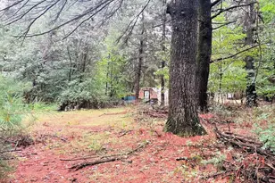 3391 8th Ave, Wisconsin Dells, WI 53965 - Photo 60
