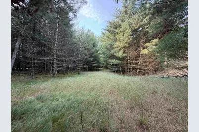 201 N Juneau, Adams, WI 53910 - Photo 18