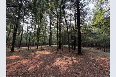 201 N Juneau, Adams, WI 53910 - Photo 22
