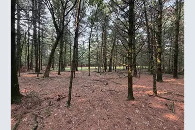 201 N Juneau, Adams, WI 53910 - Photo 20