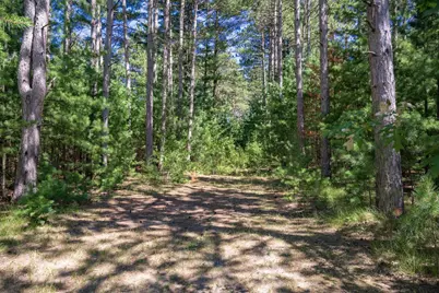 W5998 S Lake Drive, New Lisbon, WI 53950 - Photo 50