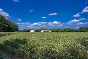 N8391 County Rd M, New Lisbon, WI 53950 - Photo 78