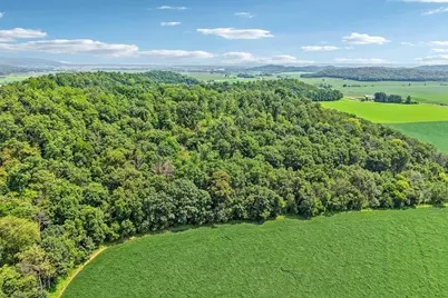 S7604C Dischler Road, North Freedom, WI 53951 - Photo 6