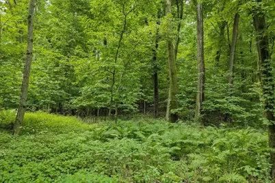 S2480 Meadowview Road, Reedsburg, WI 53959 - Photo 64