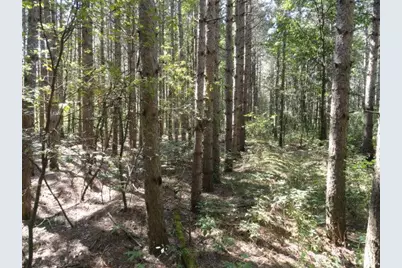 Lot 15 Clearview Rd, Necedah, WI 54646 - Photo 32
