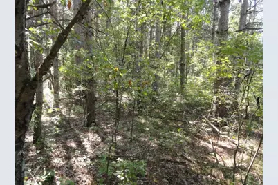 Lot 15 Clearview Rd, Necedah, WI 54646 - Photo 30