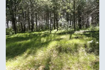 Lot 15 Clearview Rd, Necedah, WI 54646 - Photo 36