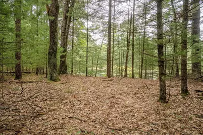 1854 Duck Creek, Friendship, WI 53934 - Photo 8