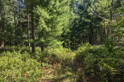 W7361 12th Avenue, Necedah, WI 54646 - Photo 28