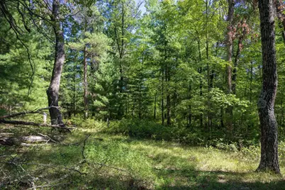 W7361 12th Avenue, Necedah, WI 54646 - Photo 32