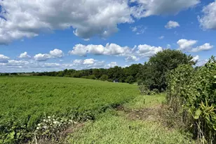 W7480 State Rd 39, New Glarus, WI 53574 - Photo 10