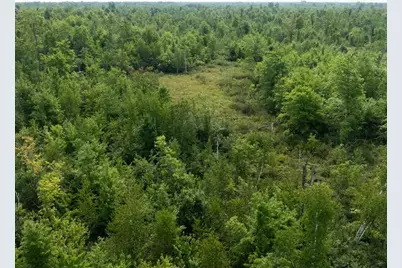 N15193 10th Avenue, Necedah, WI 54646 - Photo 16