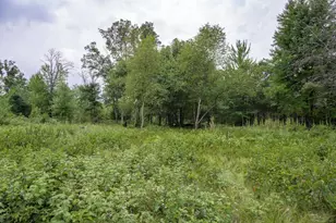 N13230 17th Ave, Necedah, WI 54646 - Photo 1
