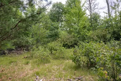 N13230 17th Avenue, Necedah, WI 54646 - Photo 26