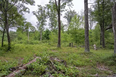 N13230 17th Avenue, Necedah, WI 54646 - Photo 18