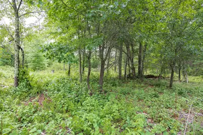 N13230 17th Avenue, Necedah, WI 54646 - Photo 10