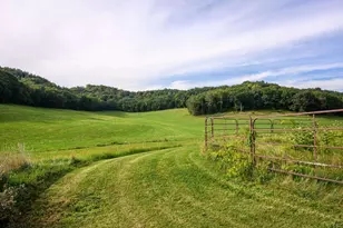 S11577 Peck Rd, Spring Green, WI 53588 - Photo 86