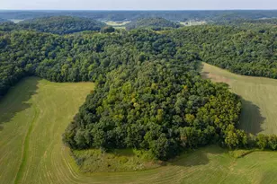S11577 Peck Rd, Spring Green, WI 53588 - Photo 16