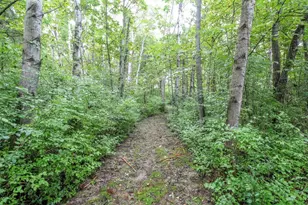 W2753 Co Rd Y, Helenville, WI 53137 - Photo 84