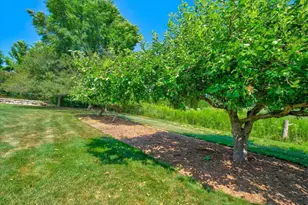 2532 Bigler Cir, Verona, WI 53593 - Photo 68