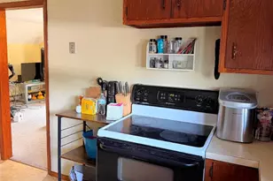 331 E Pearl St, Neshkoro, WI 54960 - Photo 22