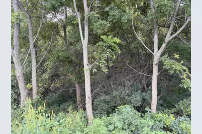 5.35 Acres Seeman Road, Janesville, WI 53536 - Photo 4